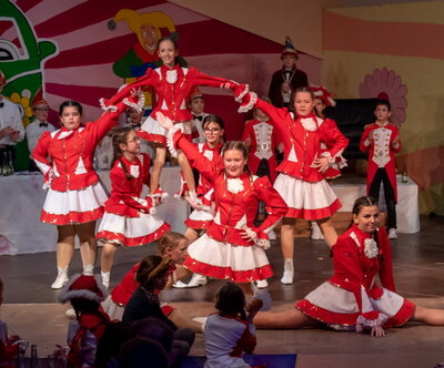 Jugendgarde Jugendgarde