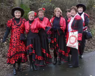 Rosenmontag 04.02.2008 Karnevalsgesellschaft Waxweiler 1961 e.V.