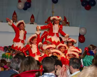 Kinderkarneval 08.02.2009 Karnevalsgesellschaft Waxweiler 1961 e.V.