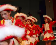 Kinderkarneval 08.02.2009 Karnevalsgesellschaft Waxweiler 1961 e.V.