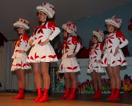 Kappensitzung 22.02.2009 Karnevalsgesellschaft Waxweiler 1961 e.V.